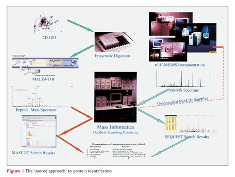 Proteomics - From a drug discovery perspective - Drug Discovery World (DDW) 