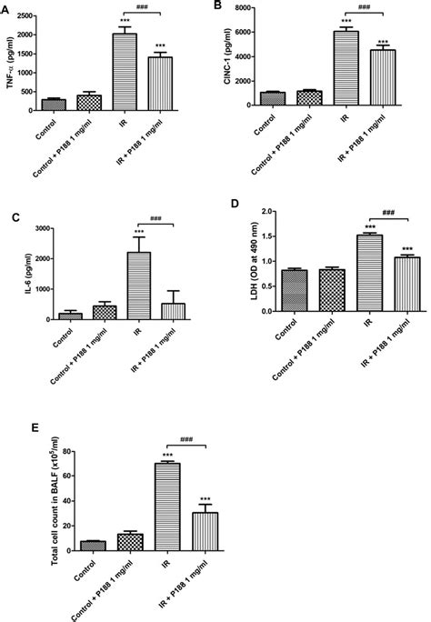 Frontiers Poloxamer 188 Attenuates Ischemia Reperfusion Induced Lung