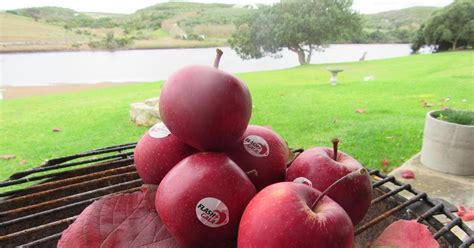 Truly South African Gala Makes Waves News Fruitnet