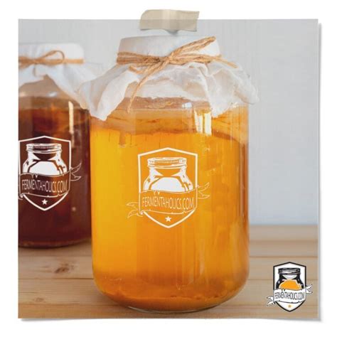 Kombucha Brewing Guide: The Ultimate How-to Process