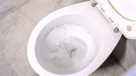 What To Do If A Toilet Overflows - RestoRite Water Restoration