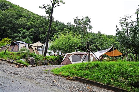 용인자연숲캠핑장 경기도 용인시 처인구 가볼만한곳 관광지랭킹