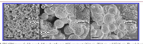 Figure 3 From Mechanistic Insights Into The Crystallization Of