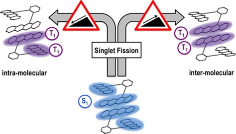 Intra And Intermolecular Singlet Fission In Covalently Linked Dimers