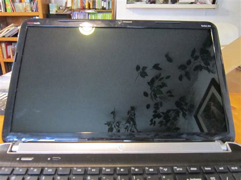 Undecided: Laptop Screen Repair