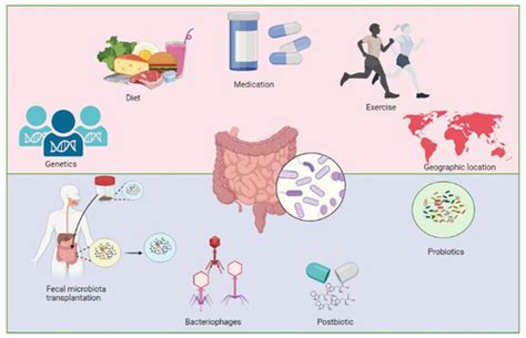 Full Article Targeting Nonalcoholic Fatty Liver Disease Via Gut