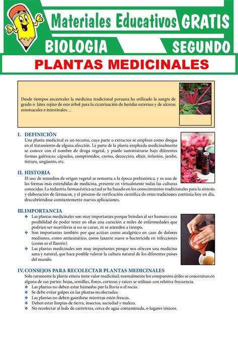 La Historia De Las Plantas Medicinales Image To U