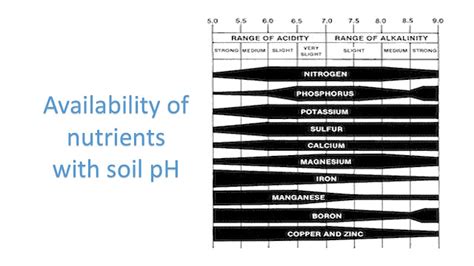 Soil PH And Vegetable Crops A2Z Veg Science