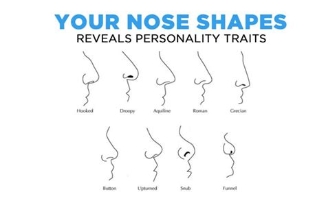 Nose Shape Personality: नाक की शेप आपकी खोलेगा पोल, जानिए...