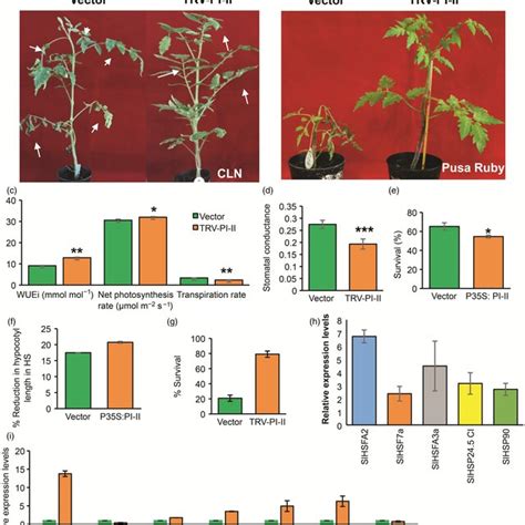 Heat Stressmediated Regulation Of Transcription Factors In Leaf Of