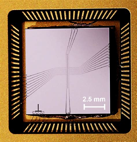 Figure 1 From Trapped Ion Quantum Computing Progress And Challenges