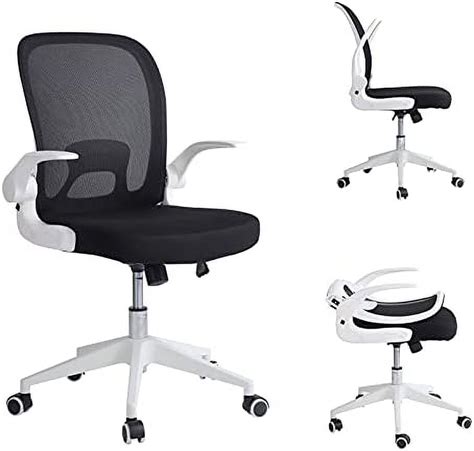 LLBIULife Ergonomic Office Chair Desk Chairs with Wheels and Arms ...