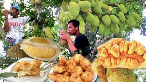 PANEN BUAH NANGKA HUTAN LANGSUNG DI OLAH DI PONDOK KEBUN YouTube