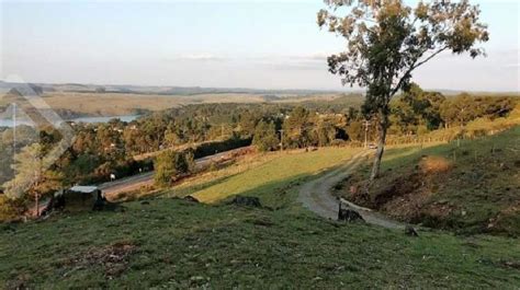 São francisco de paula fazenda eletra em São Francisco De Paula