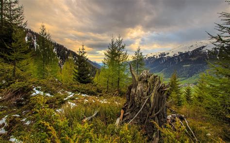 Hintergrundbilder Sonnenlicht Landschaft Wald Hügel Rock Natur