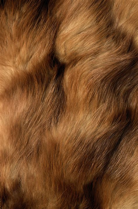 Мех, текстура меха, шкуры, fur texture background