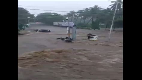 Deshgujarat On Twitter Cattle And Vehicles Wash Away In The Heavy