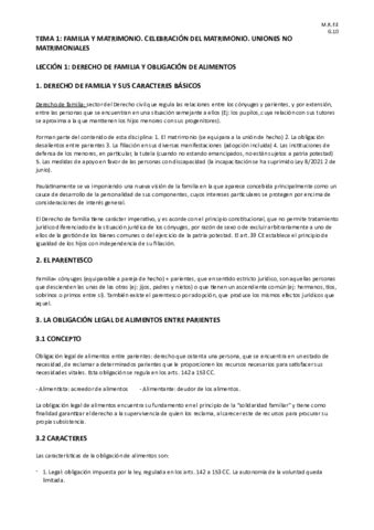 APUNTES DERECHO FAMILIA 1o PARCIAL Pdf