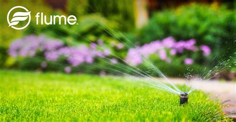 How to Check Your Sprinkler System for Leaks - Flume