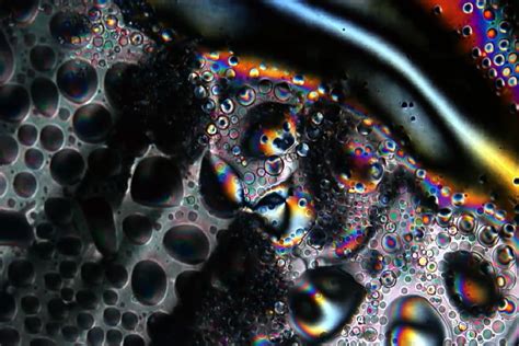 watching liquid crystals   microscope  melt  brain