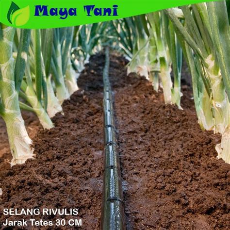 Jual Selang Irigasi Tetes Rivulis Ttape Mm Per Inchi Jarak Cm