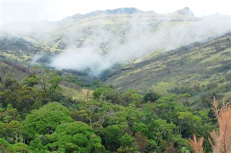 Mount Elgon National Park Brilliant Uganda