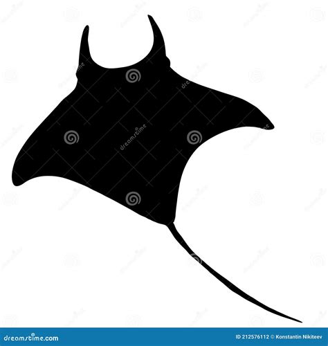 Black Silhouette Manta Ray Numb Fish Vector Stock Vector Illustration