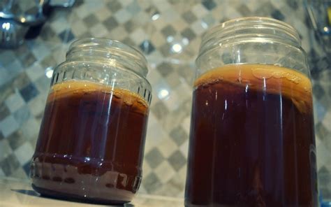 How To Make A Kombucha Scoby From Scratch - EatLove.Live