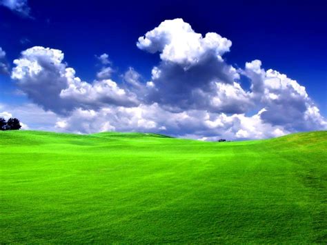 Green Grass Wallpapers Top Free Green Grass Backgrounds Wallpaperaccess