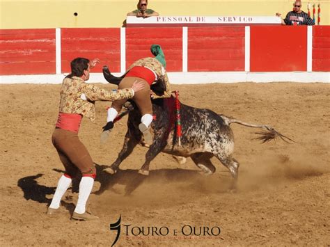 Corrida Da Ovibeja Com Cartel Rematado Touro E Ouro