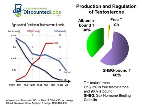 Shbg And Free Testosterone Everything You Need To Know