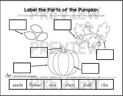 Free Pumpkin Life Cycle By MsFultzsCorner Worksheets Library