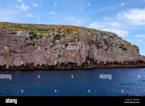 Wineglass Bay Cruises Stock Photo Alamy