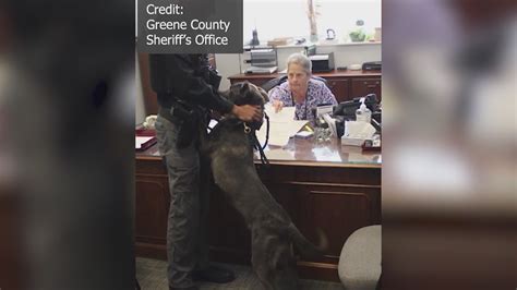 Greene County Sheriffs Office Welcomes New K9 Wnct