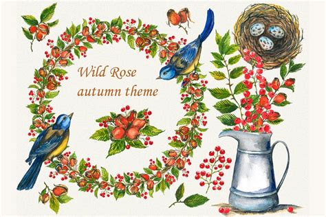 Wild rose clipart, Watercolor Wild rose clipart, rosehip