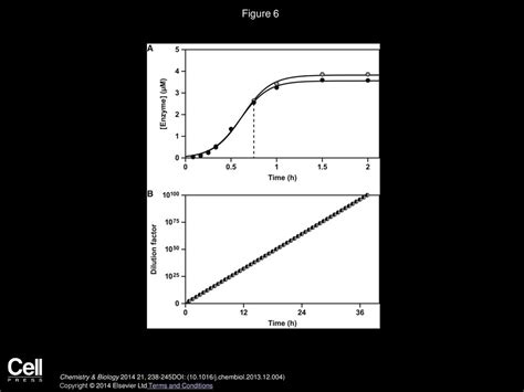 Highly Efficient Self Replicating Rna Enzymes Ppt Download