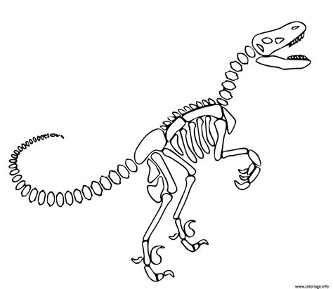 Coloriage Dinosaure Squelette Jecolorie The Best Porn Website