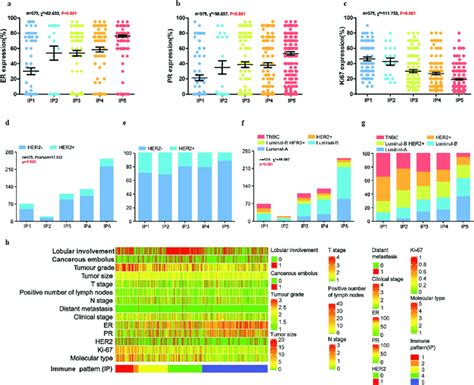 Er Pr Ki Expression And Her Status In Five Immunoarchitectural