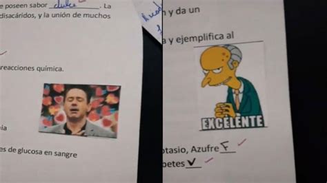 Viral Profesora Califica Tareas De Sus Alumnos Con Memes Fuser News