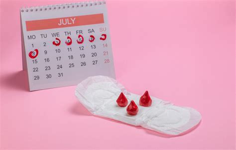 Ciclo Menstrual Como Funciona E Qual A Importância Para As Provas De