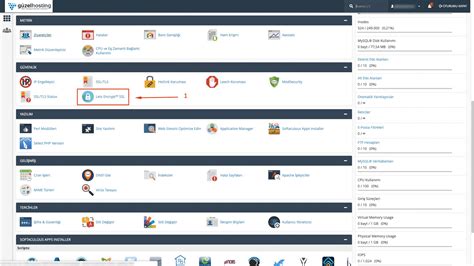 Cpanel Lets Encrypt Ssl Kurulumu