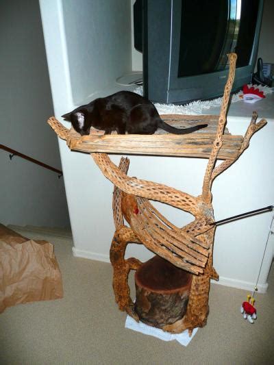 Making Your Own Cat Tree Thriftyfun