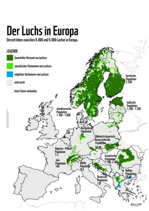 Wo Leben Luchse Wwf Sterreich