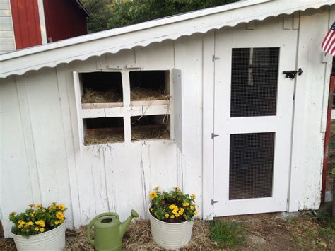 My Winterized Coop How I Insulated My Chicken Coop To Get Eggs All