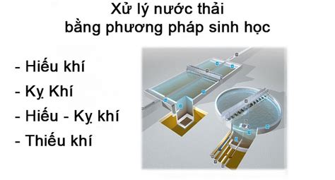 X L N C Th I C Ng Nghi P B Ng Ph Ng Ph P Sinh H C