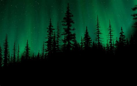 Night Green Forest Wallpapers - Top Free Night Green Forest Backgrounds - WallpaperAccess