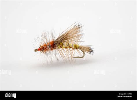 Stimulator Artificial Fishing Fly Stock Photo Alamy