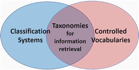 taxonomy definition hedden information management
