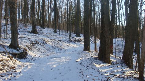 Hiking Hoye-Crest, Maryland (High Point 9+2/50)