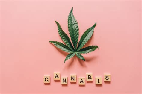 Los Efectos Del Consumo De Cannabis Durante La Adolescencia Som Salud Mental 360